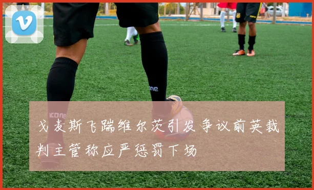 戈麦斯飞踹维尔茨引发争议前英裁判主管称应严惩罚下场
